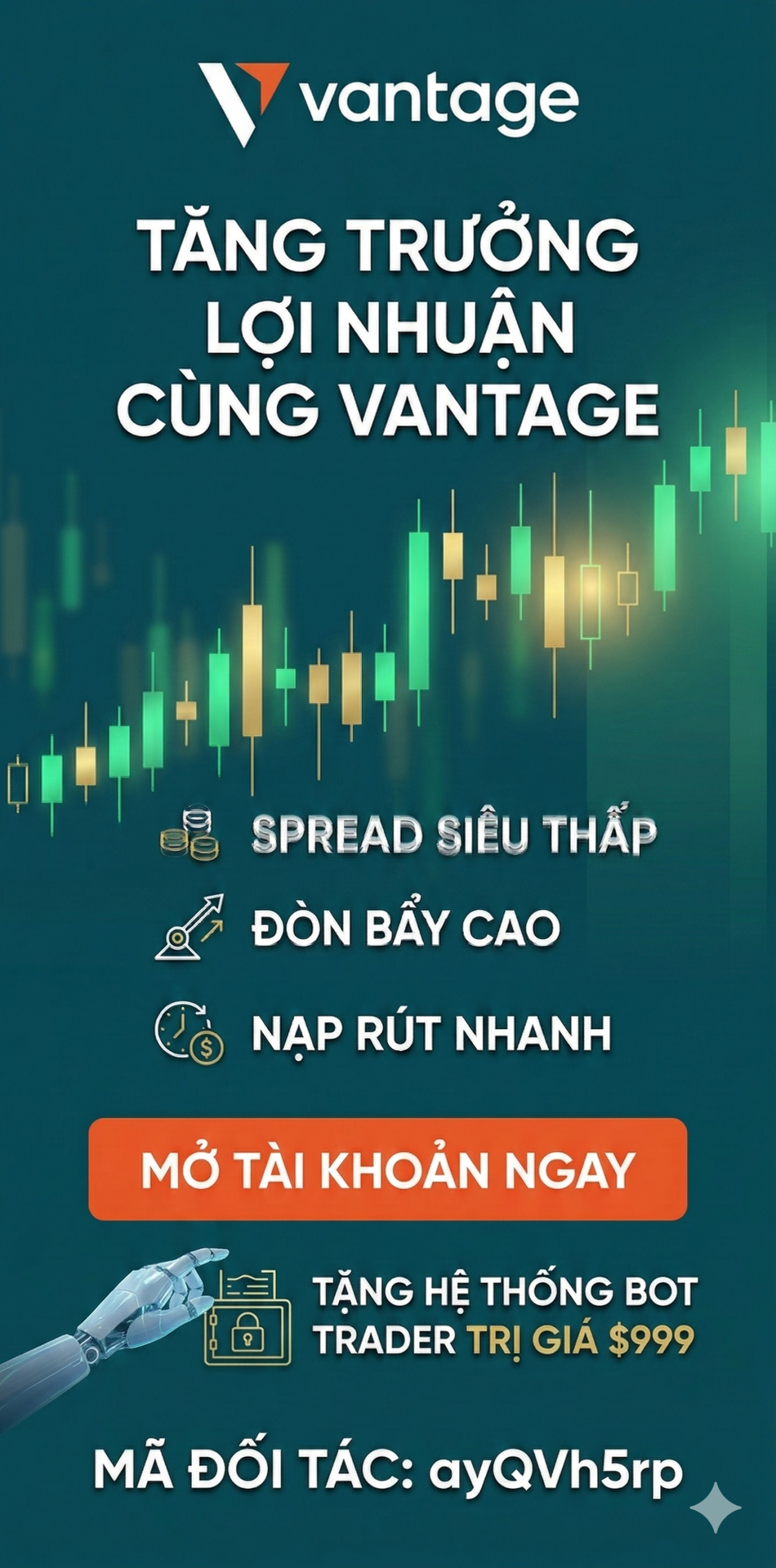 Banner Ads 1